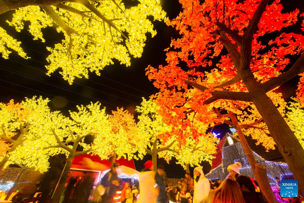 Illumi: A Dazzling World of Lights show held in Ontario, Canada