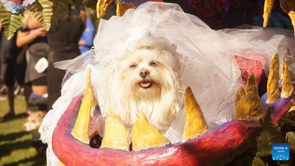 In pics: 21st annual Haute Dog Howl'oween Parade in California, U.S.