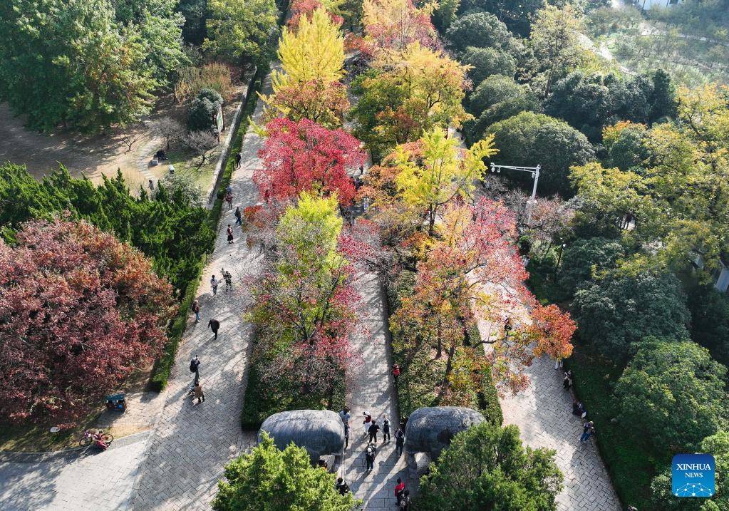 Autumn scenery of imperial Xiaoling Mausoleum in Nanjing, E China