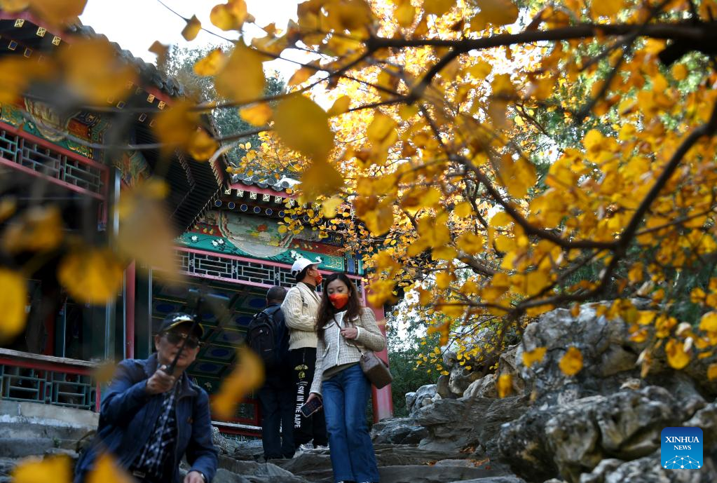Autumn scenery in Beijing