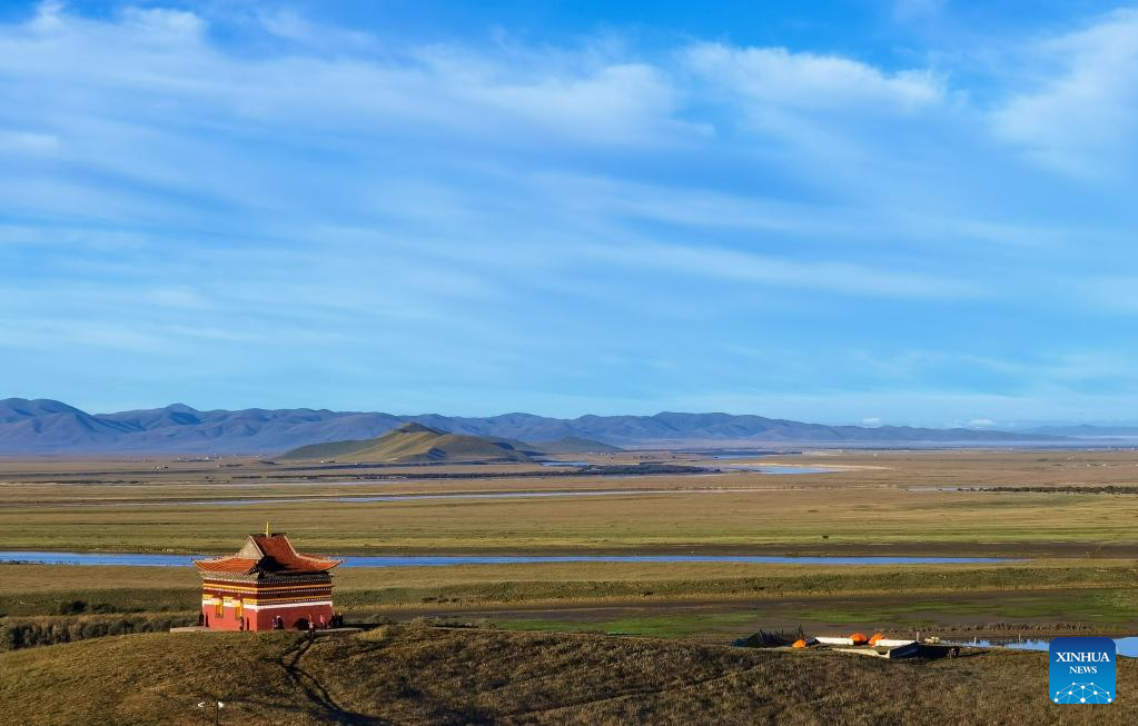 Ecological environment of protected areas witnesses improvement in Ruoergai County, SW China