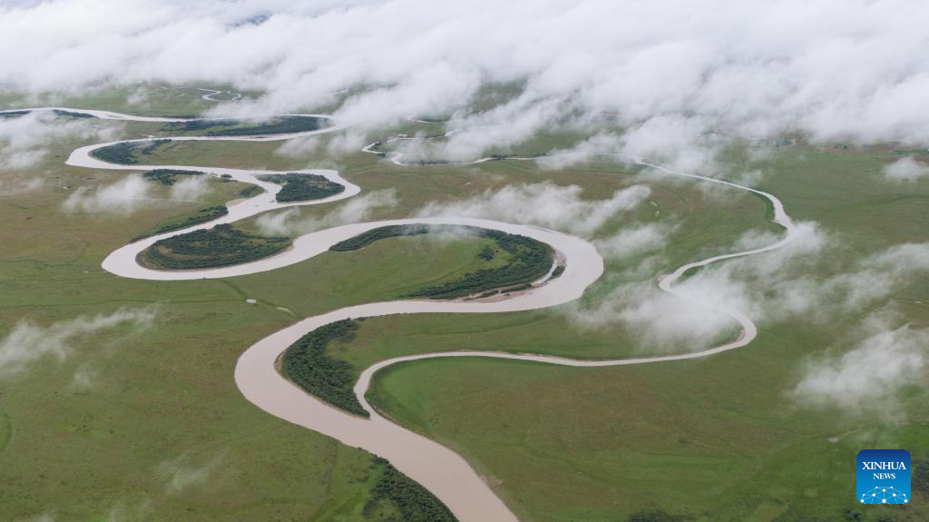 Ecological environment of protected areas witnesses improvement in Ruoergai County, SW China