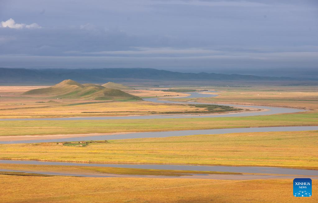 Ecological environment of protected areas witnesses improvement in Ruoergai County, SW China