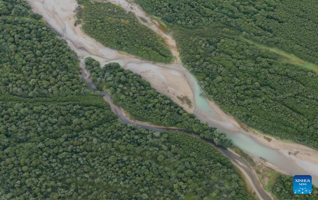 Ecological environment of protected areas witnesses improvement in Ruoergai County, SW China