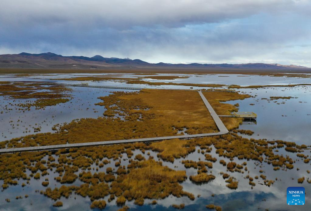 Ecological environment of protected areas witnesses improvement in Ruoergai County, SW China