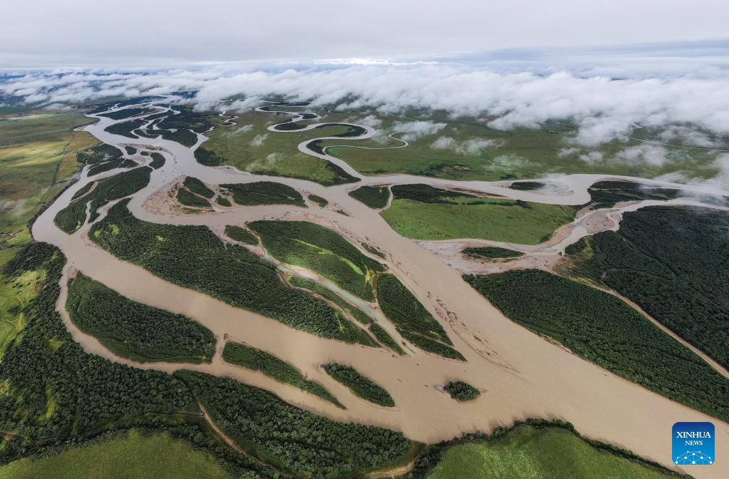 Ecological environment of protected areas witnesses improvement in Ruoergai County, SW China