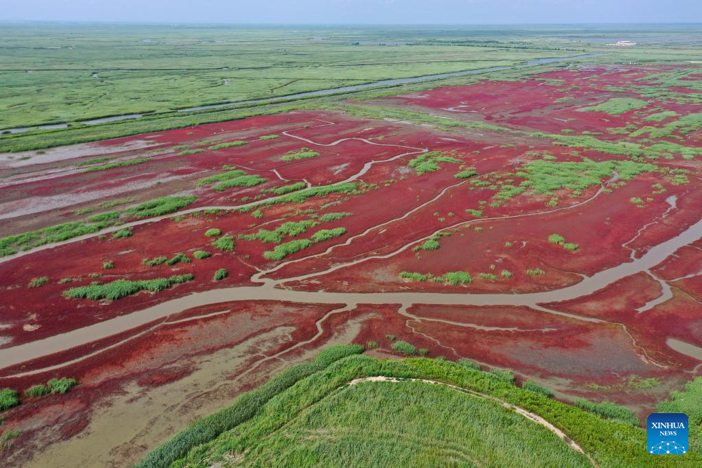 Various wetlands found in Liaohe River Delta, northeast China