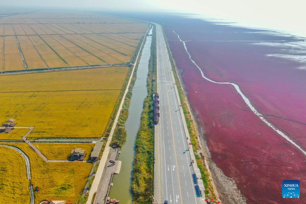 Various wetlands found in Liaohe River Delta, northeast China