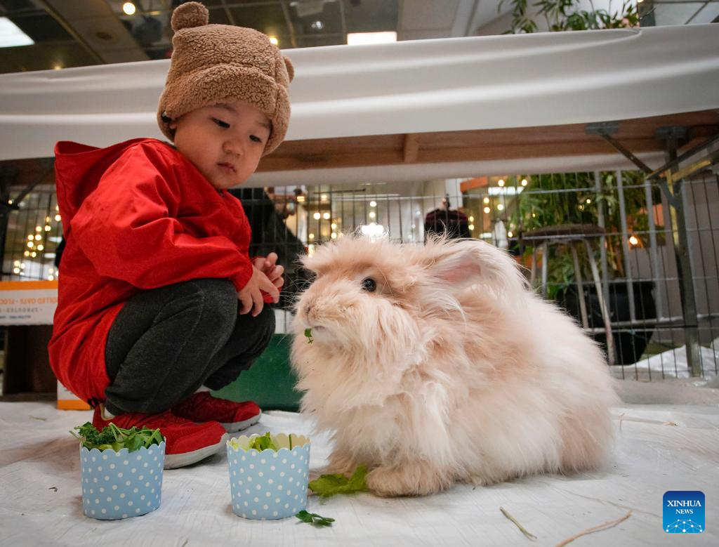 In pics: Pet Lover Show in Vancouver, Canada