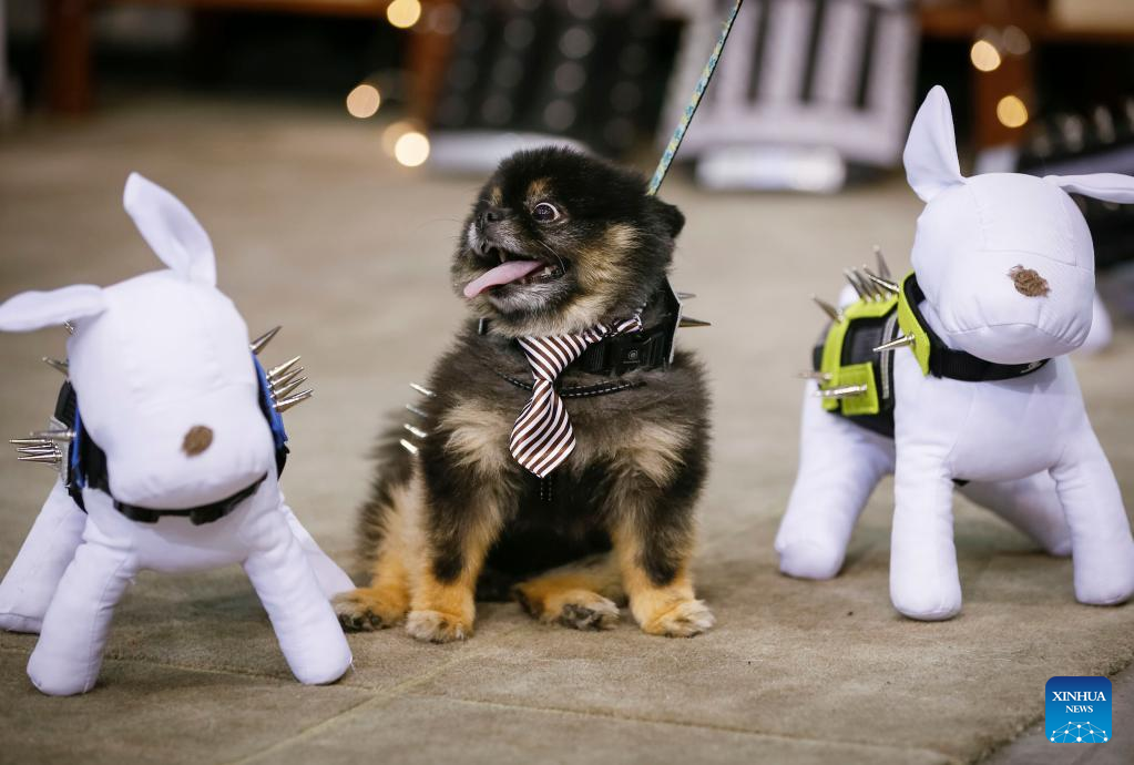 In pics: Pet Lover Show in Vancouver, Canada