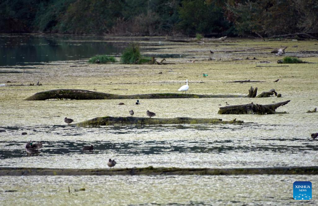 View of Nazzano Tevere-Farfa Natural Reserve in Lazio Region, Italy