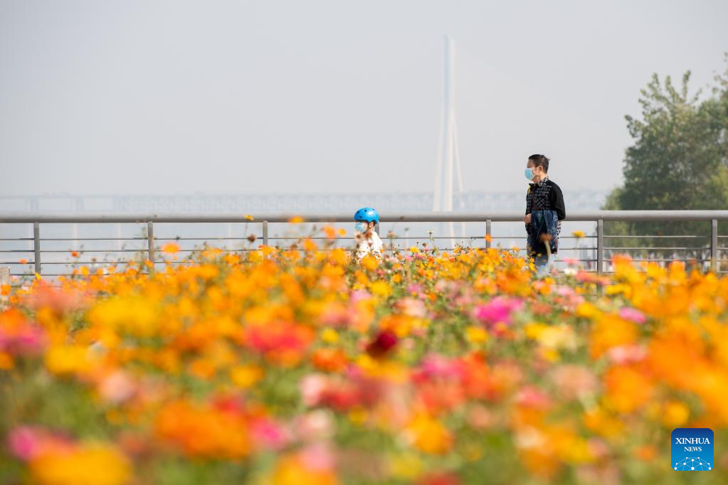 China Focus: Megacities emerging as wetland paradises