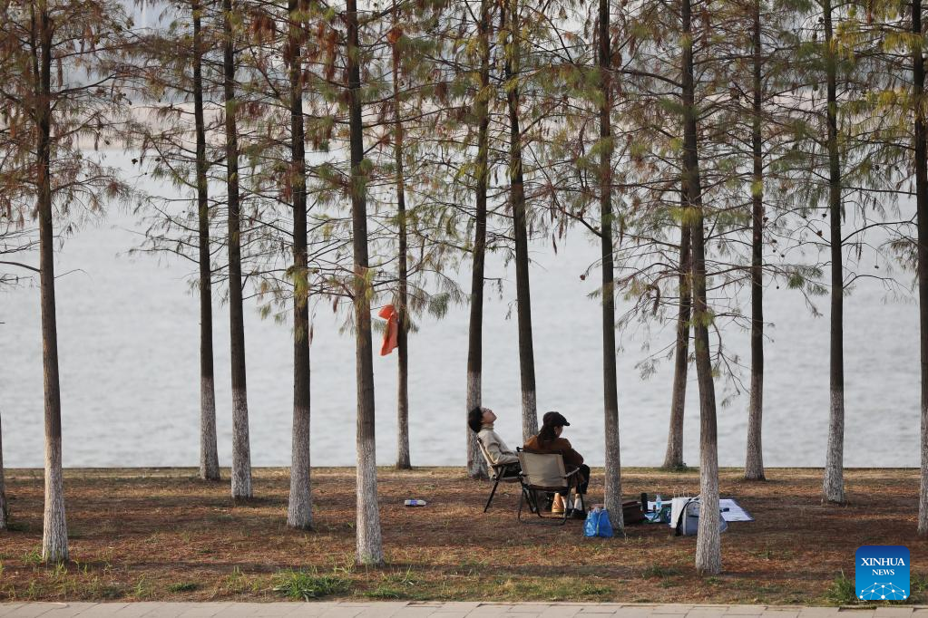 China Focus: Megacities emerging as wetland paradises