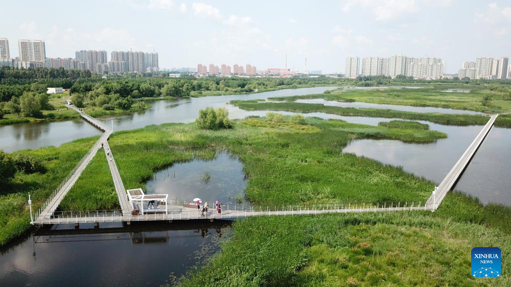 In pics: Harbin, wetland paradise in NE China
