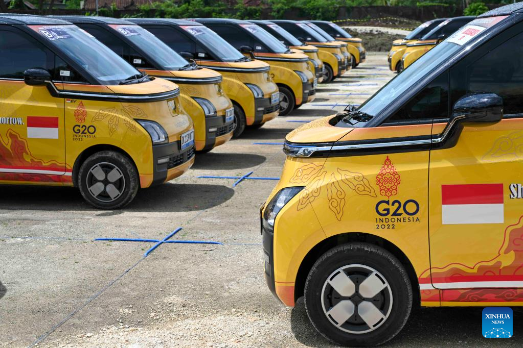 In pics: Wuling Air EVs for transit service to delegates and staff members of G20