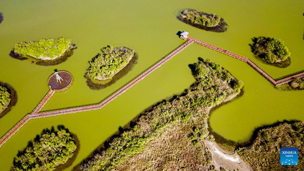 Scenery in Dongying, east China's Shandong