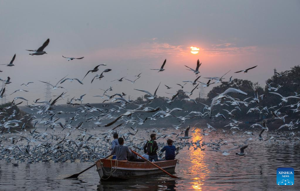 Migratory birds fly over Yamuna River in New Delhi, India