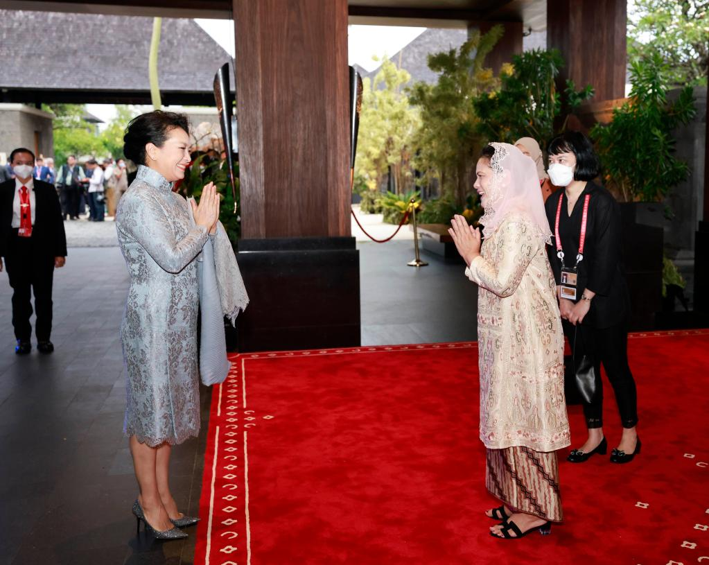Peng Liyuan meets with Indonesian first lady