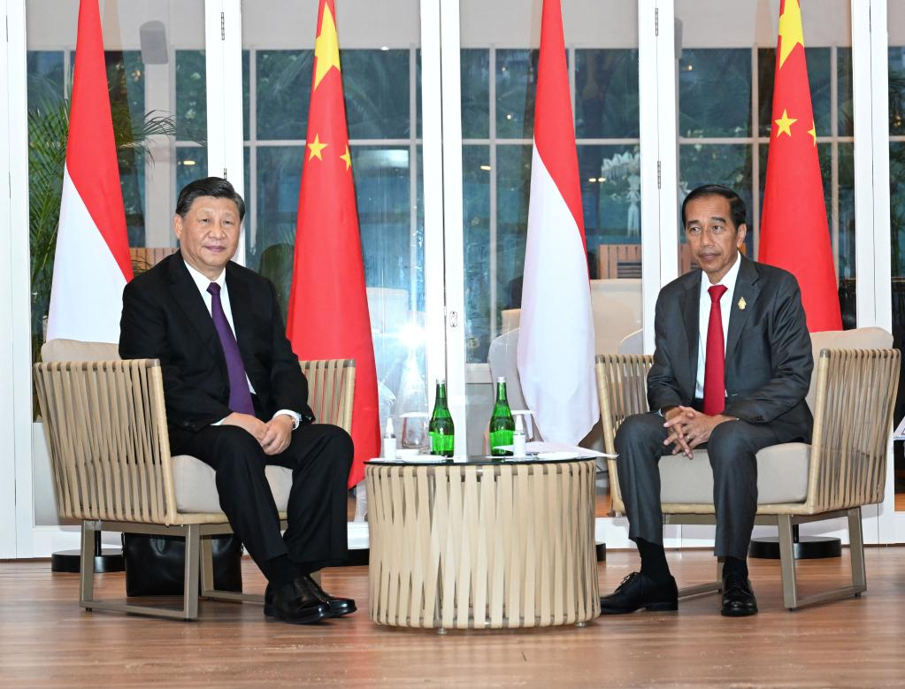 China, Indonesia agree on building China-Indonesia community with a shared future