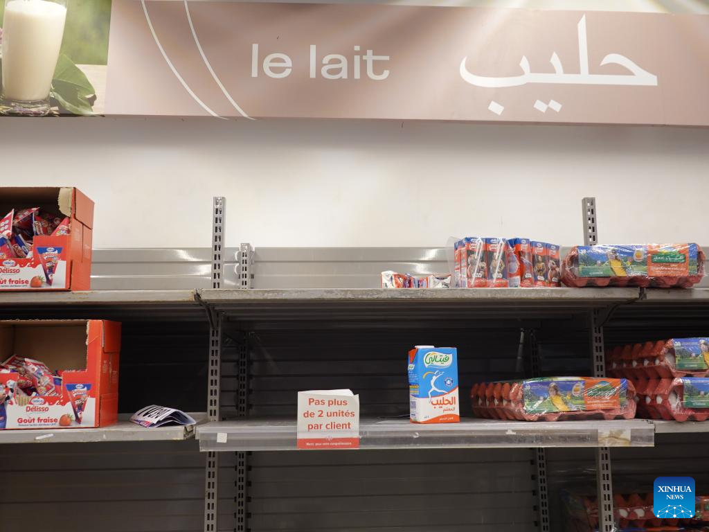 Feature: Where does Tunisia's milk go?