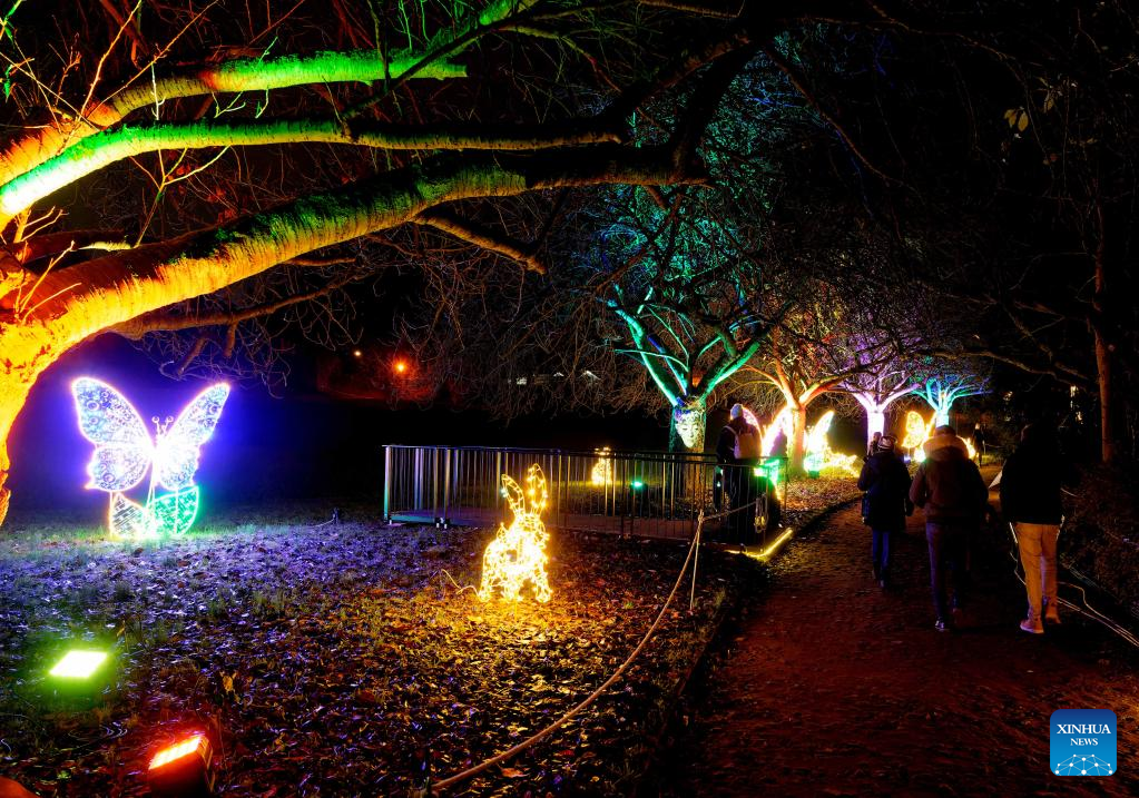 “Christmas Garden Berlin” light show kicks off