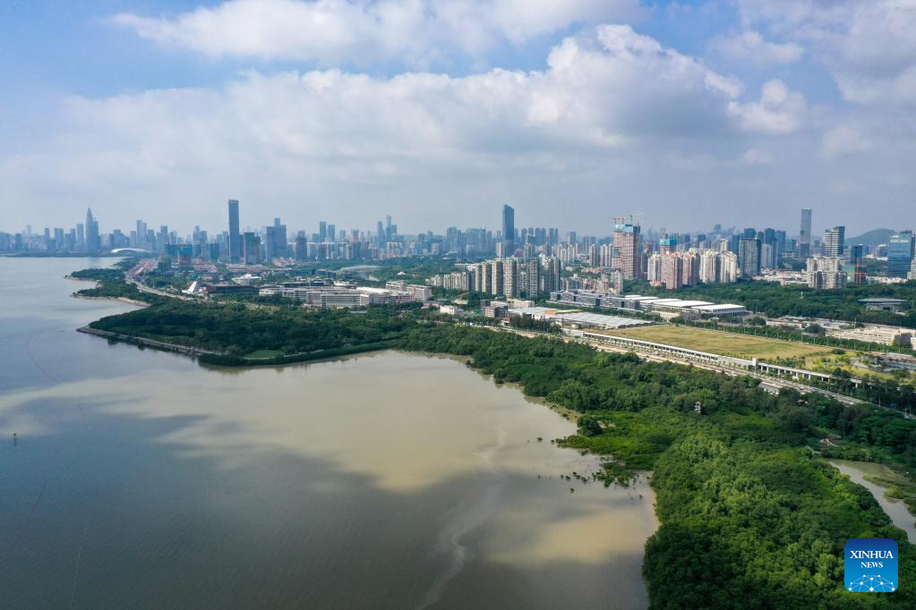 Across China: Shenzhen protects wetlands and bird migration routes