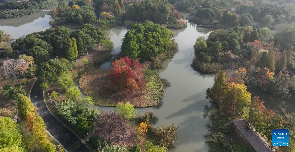View of wetland parks in Changshu, E China's Jiangsu
