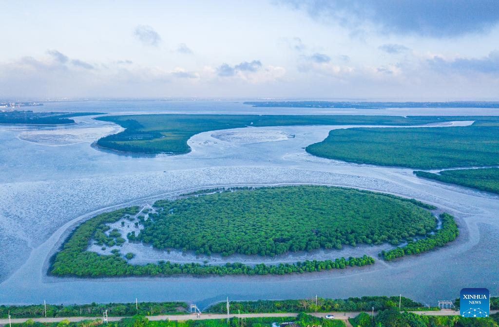 China's Haikou boasts great area of wetlands