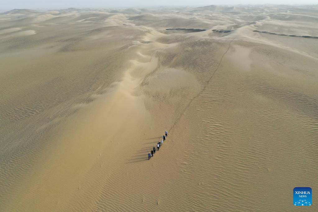 Wondrous Xinjiang: Veterans greening desert town in Xinjiang