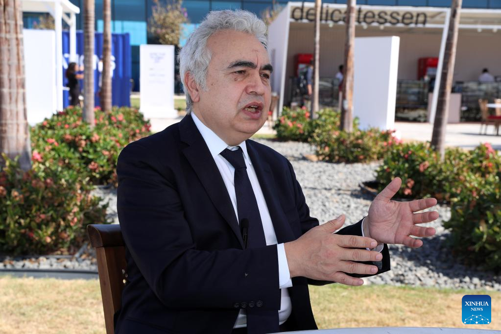 Interview: China greatly contributes to reducing global carbon emissions: IEA chief
