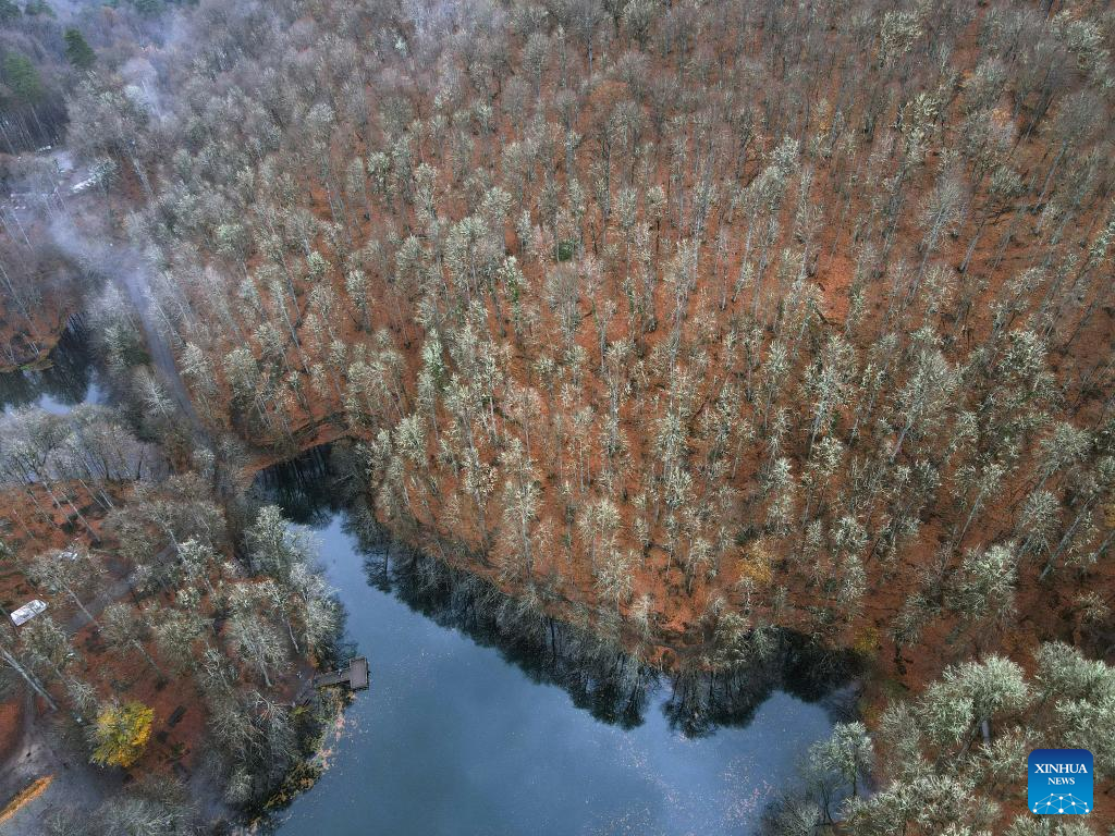Autumn scenery of Yedigoller National Park in Türkiye