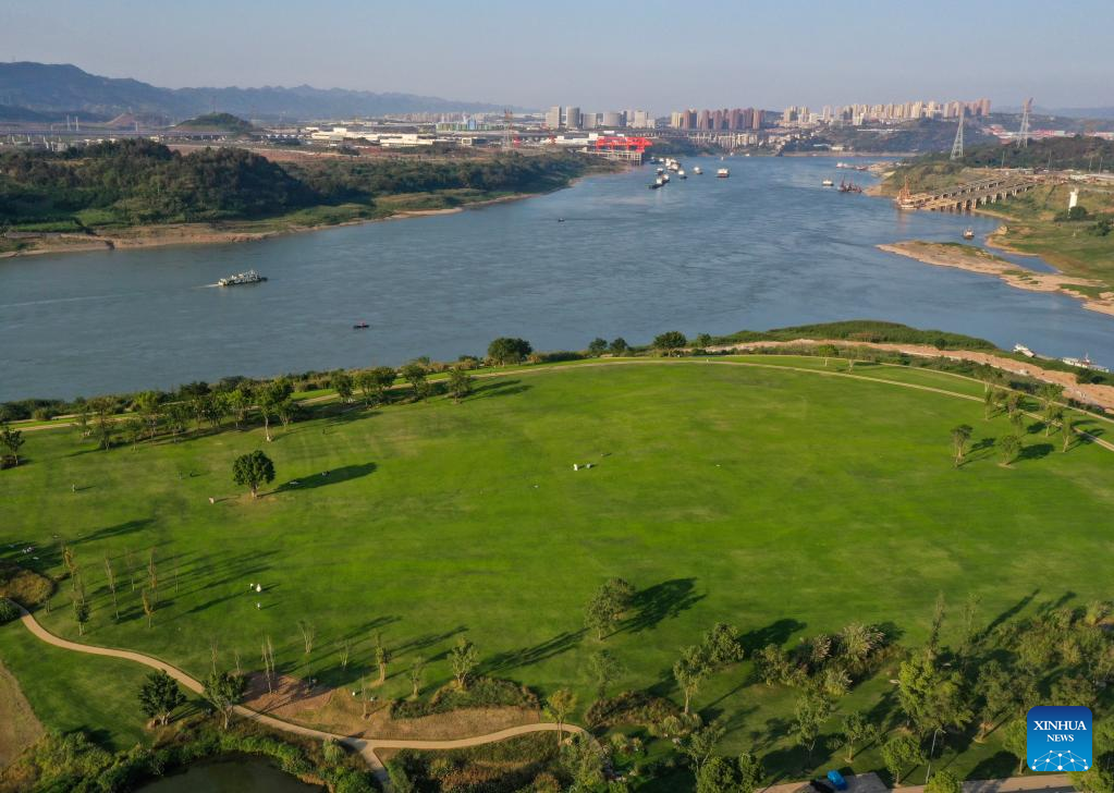 Across China: Flood-tolerant plants restore ecosystem on mega isle of Yangtze River