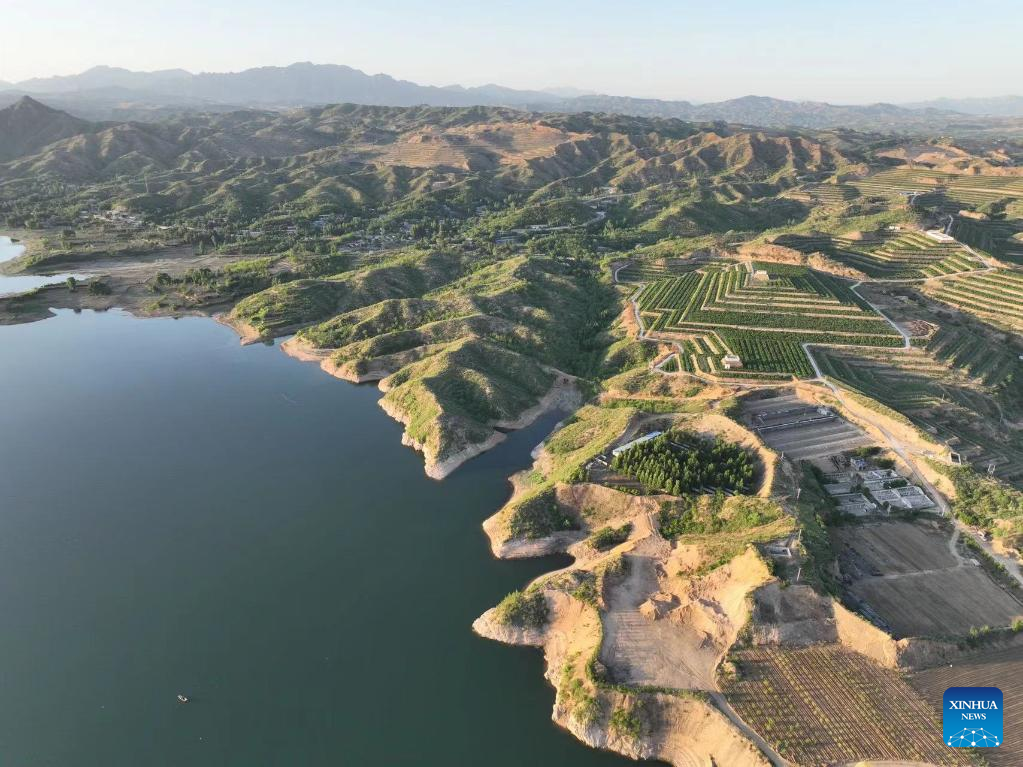 Across China: Overseas returnee opens modern orchards in mountainous village