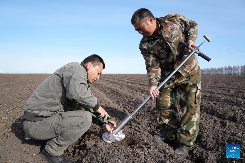 World Soil Day marked in NE China's Heilongjiang