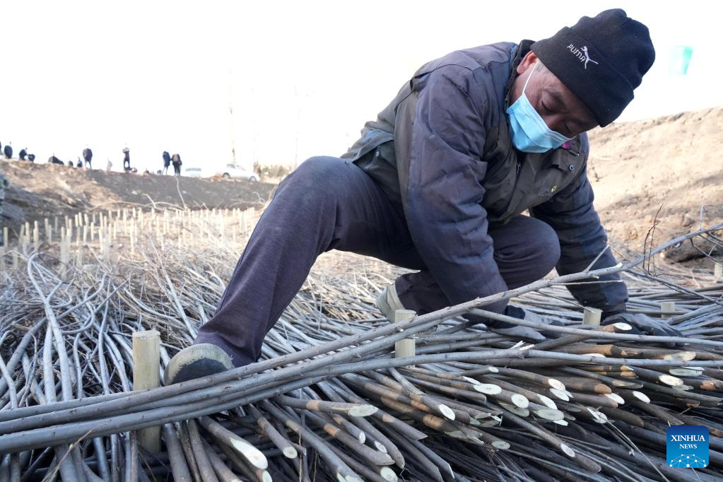 World Soil Day marked in NE China's Heilongjiang