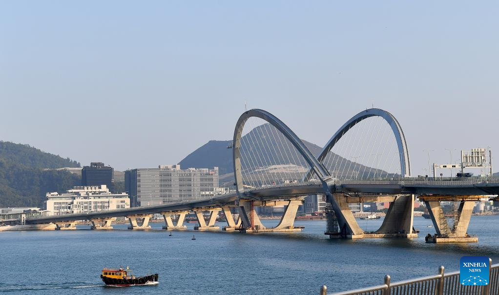 Hong Kong's Tseung Kwan O Cross Bay Bridge opens to traffic