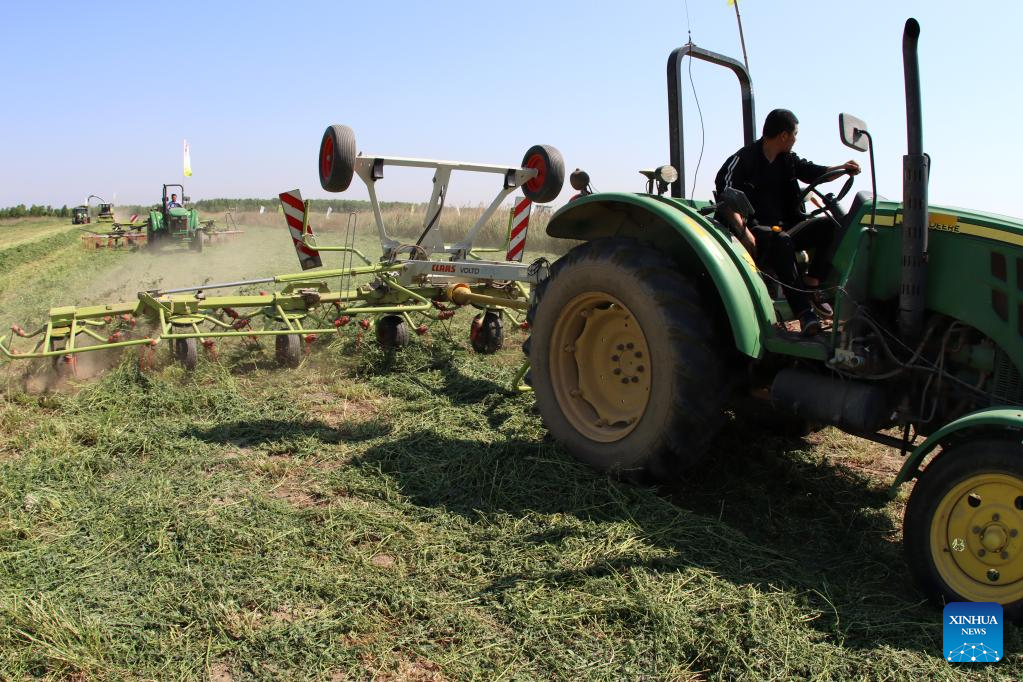Across China: Saline agriculture helps boost farmers' income in coastal county