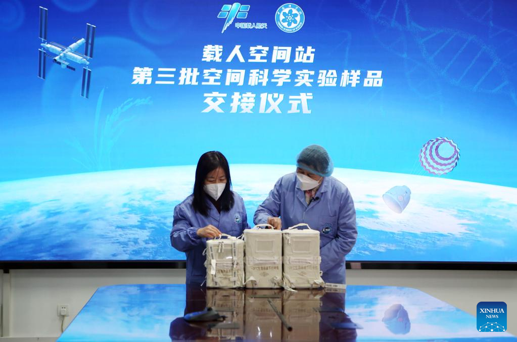 Chinese scientists complete rice, Arabidopsis life-cycle experiments in space