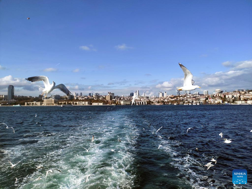View of Bosporus Strait in Istanbul, Türkiye