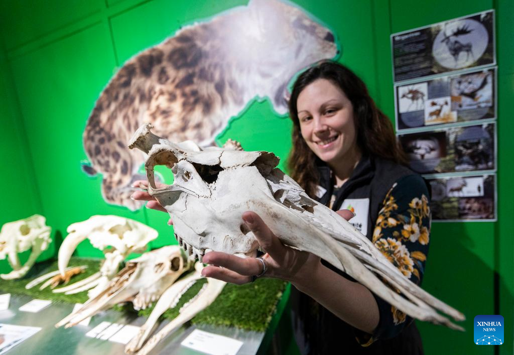 In pics: Quebec's Biodiversity Museum in Canada
