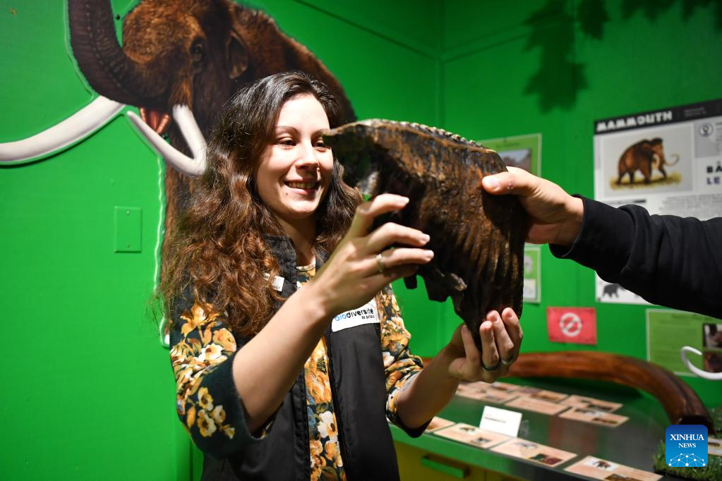In pics: Quebec's Biodiversity Museum in Canada