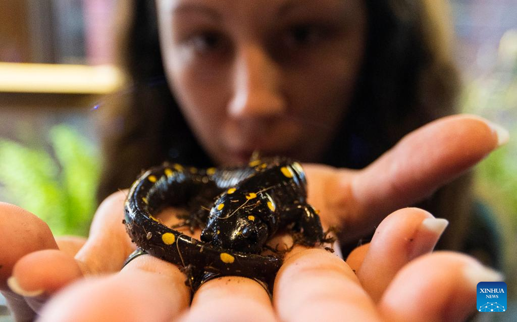 In pics: Quebec's Biodiversity Museum in Canada