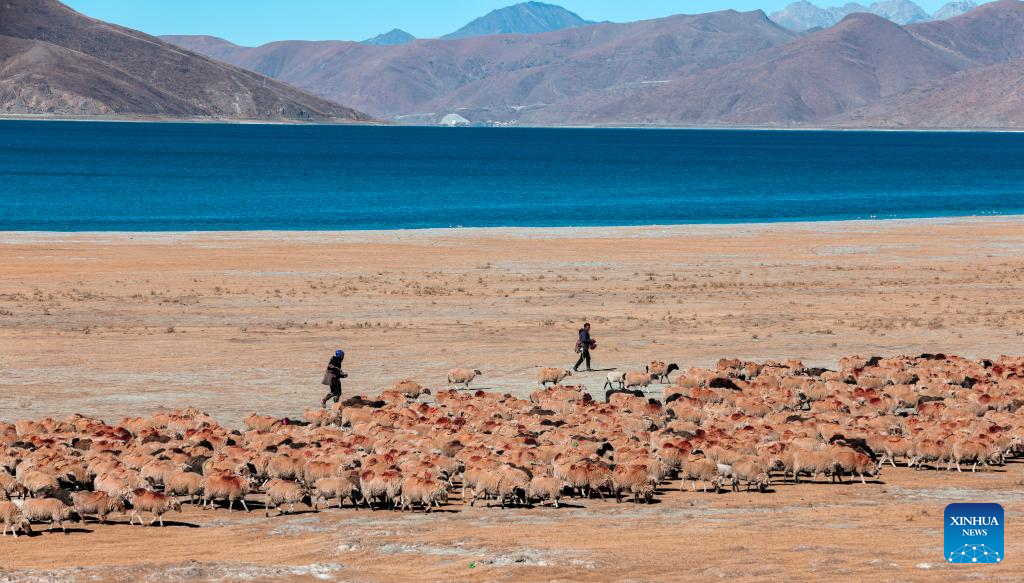 Scenery of Yamdrok Lake in Tibet