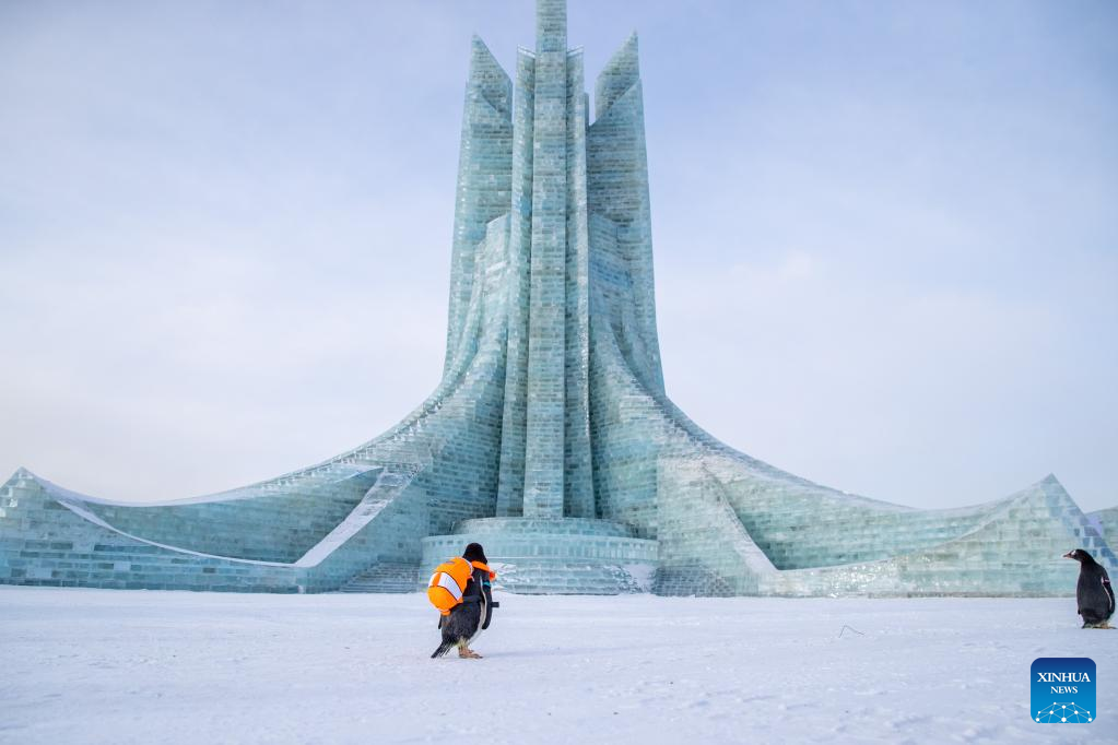 Penguins visit Harbin Ice-Snow World in China's Heilongjiang