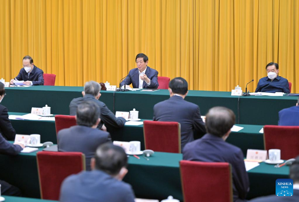 China's top legislator stresses improvement of people's congresses