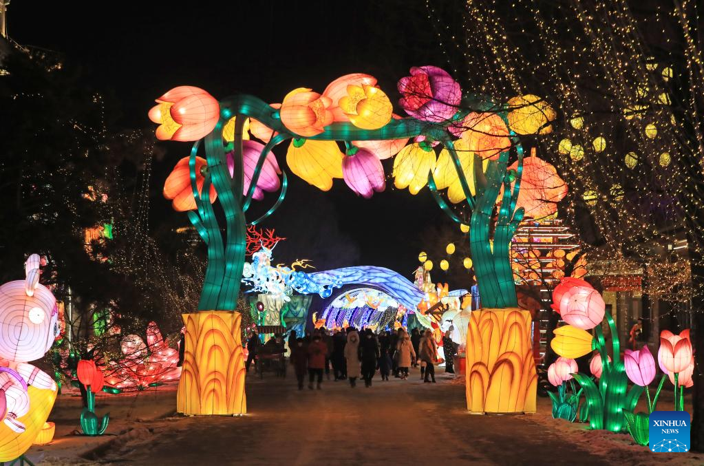 People visit lantern show in Shenyang, NE China's Liaoning