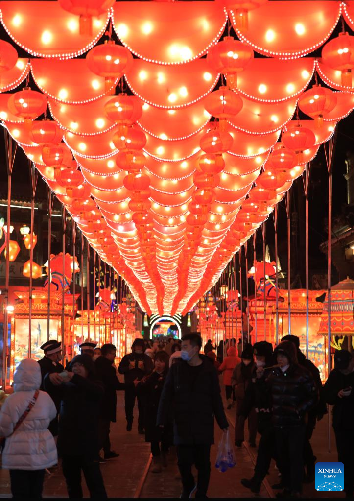 People visit lantern show in Shenyang, NE China's Liaoning