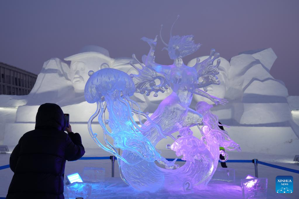 Ice sculpture competition concludes in Harbin, NE China's Heilongjiang