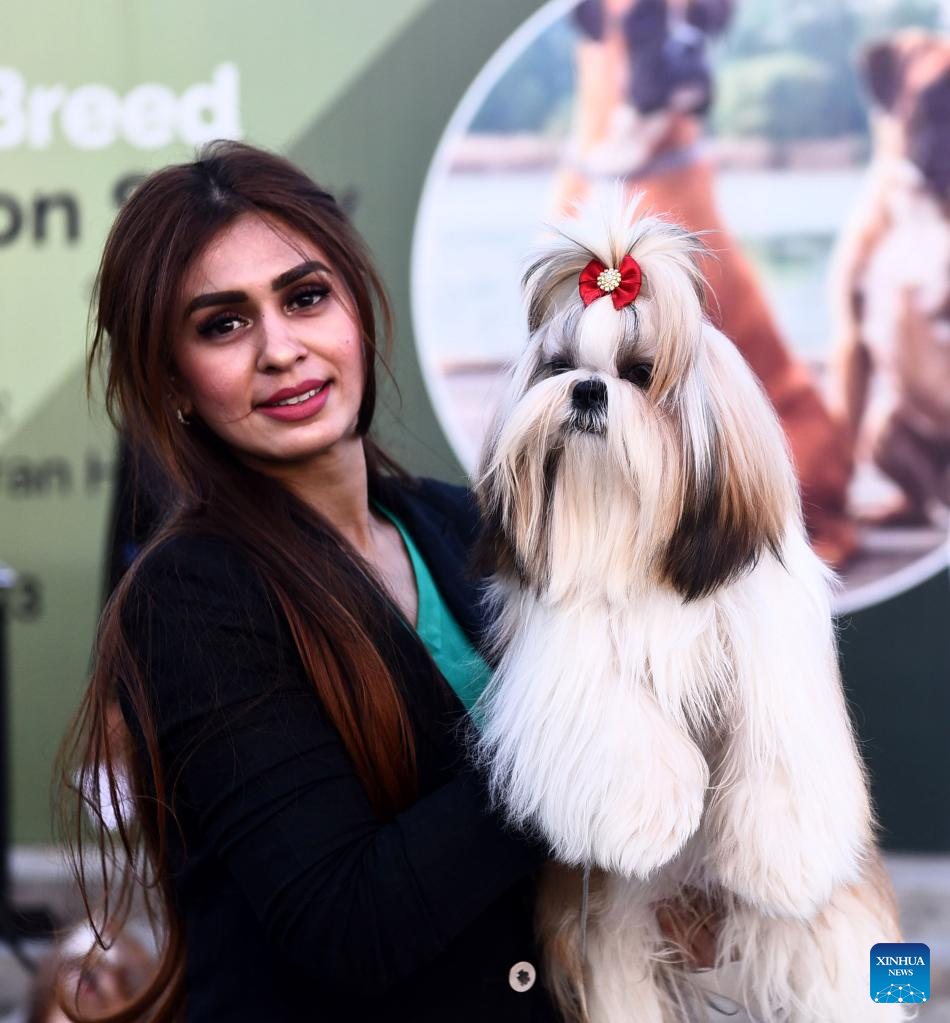 In pics: dog show in Pakistan