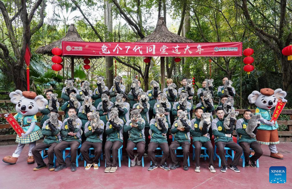 66 koalas from one family in seven generations make public appearance in Guangzhou